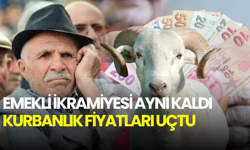 Emekli ikramiyesi aynı kaldı ama kurbanlık fiyatları uçtu