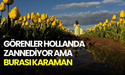 Görenler Hollanda zannediyor ama burası Karaman