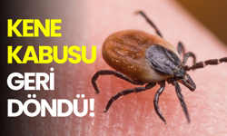 Kene kabusu geri döndü: KKKA’ya karşı hayati uyarılar