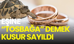 “Tosbağa” dedi, tazminata mahkûm oldu! Yargıtay’dan emsal karar