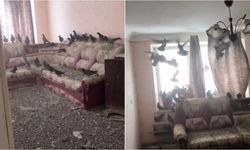 3 yıl açık kalan pencere evi felakete çevirdi! Döndüğünde karşılaştığı manzara şoke etti