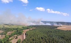 Çanakkale Eceabat’ta tarım arazisinde çıkan yangın ormana sıçradı