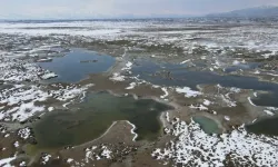 Ekşisu’da 5 Ayrı Su Aynı Noktada Karışmıyor