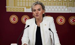 Nimet Özdemir CHP’den istifa etti