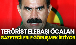 Terörist elebaşı Öcalan gazetecilerle görüşmek istiyor