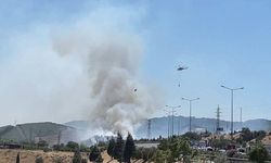 Buca’da otluk alandaki yangın ormana sıçradı, fabrikaya ulaştı