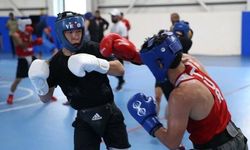 Boks Federasyonu Faizden 8,7 Milyon Kazandı, Altyapıya 112 Bin TL