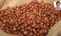TMO ve TARİŞ fiyatları beklentinin altında kaldı: Çiftçinin yüzü gülmüyor