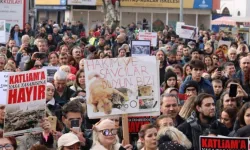 Yaşam Savunucuları Kadıköy’de Buluşuyor: Hayvanları Koruma Kanunu Değişikliğinin 2. Yılında Eylem