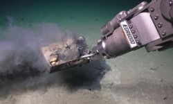 Arktik’te deniz tabanındaki tuhaf bölgede “balina mezarı” bulundu