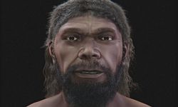 Bilim insanları 315 bin yıllık Homo sapiens’in yüzünü yeniden inşa etti: Tanıdık bir görünüme sahip