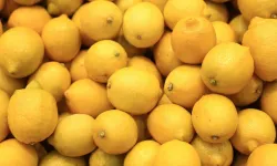 Limonda Pestisit Alarmı: 20 örnekte 144 kalıntı, 4 üründe limit aşıldı