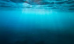 Nokta Nemo: Okyanusun Ortasında “Hiç Kimsenin” Dünyası
