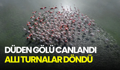 Düden Gölü yeniden pembeye döndü: Allı turnalar döndü!