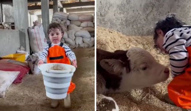 23 Nisan’da çiftliğin başına geçti! Minik çobanın görüntüleri ilgi gördü