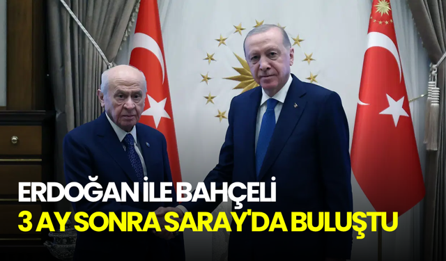 Erdoğan ile Bahçeli 3 ay sonra Saray'da buluştu