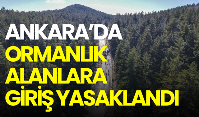 Ankara’da ormanlık alanlara girişler yasaklandı: Tarih belli oldu