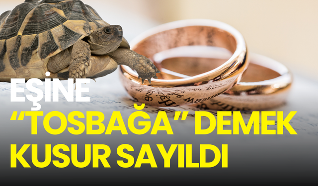 “Tosbağa” dedi, tazminata mahkûm oldu! Yargıtay’dan emsal karar