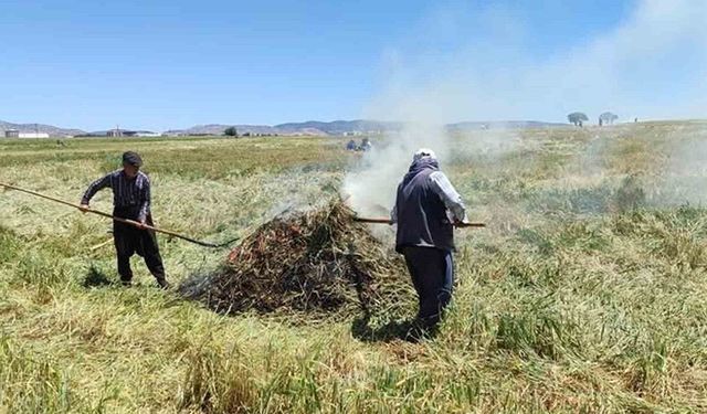 Yılda sadece 10 gün üretiliyor: Araban Ovası’nın altın ürünü Orta Doğu’ya akıyor
