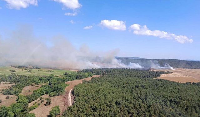 Çanakkale'de tarım yangını ormana sıçradı