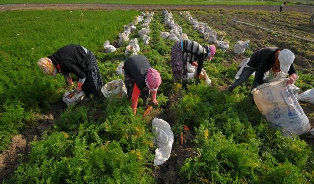 Girdi Maliyetleri Yükselirken Ekonomi Daralıyor: Şirket Kapanışları Artıyor