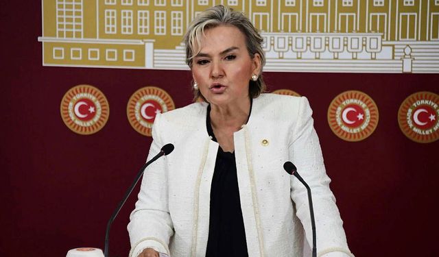 Nimet Özdemir CHP’den istifa etti