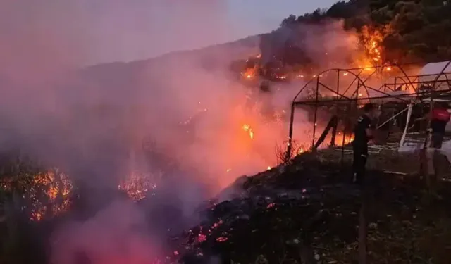 Antalya’da 3 Günde 34 Yangın: 8 İlçede Rüzgar Etkisi