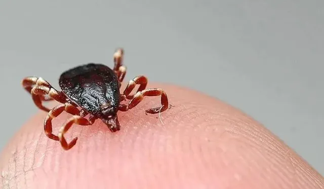 Çorum’da KKKA alarmı: 64 yaşındaki kadın hayatını kaybetti