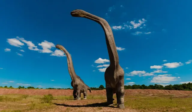 İspanya’da 150 milyon yıllık 25 metrelik Diplodocus fosili bulundu