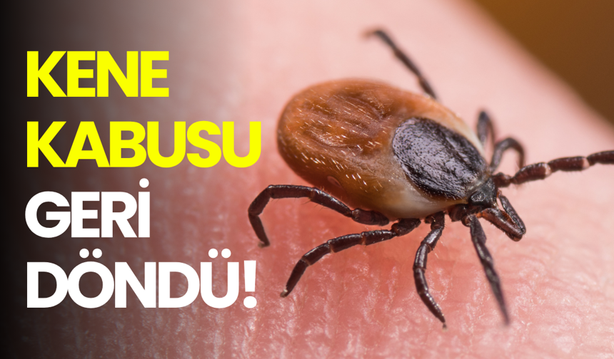 Kene kabusu geri döndü: KKKA’ya karşı hayati uyarılar