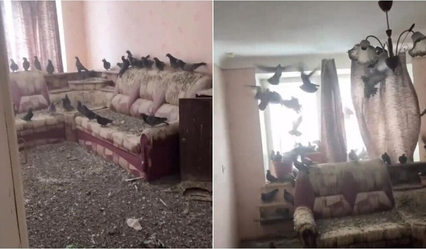 3 yıl açık kalan pencere evi felakete çevirdi! Döndüğünde karşılaştığı manzara şoke etti
