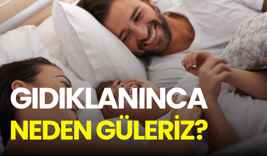 Gıdıklanınca neden düleriz? Beyinde savunma oyuna dönüşüyor
