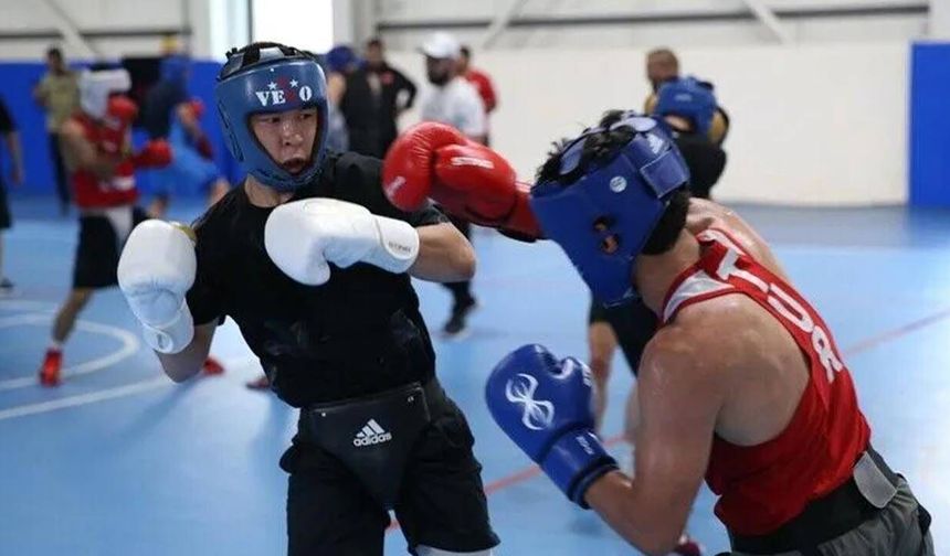 Boks Federasyonu Faizden 8,7 Milyon Kazandı, Altyapıya 112 Bin TL
