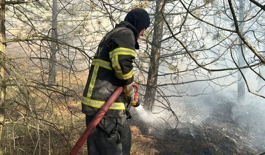 Rüzgar meyve bahçelerini yaktı