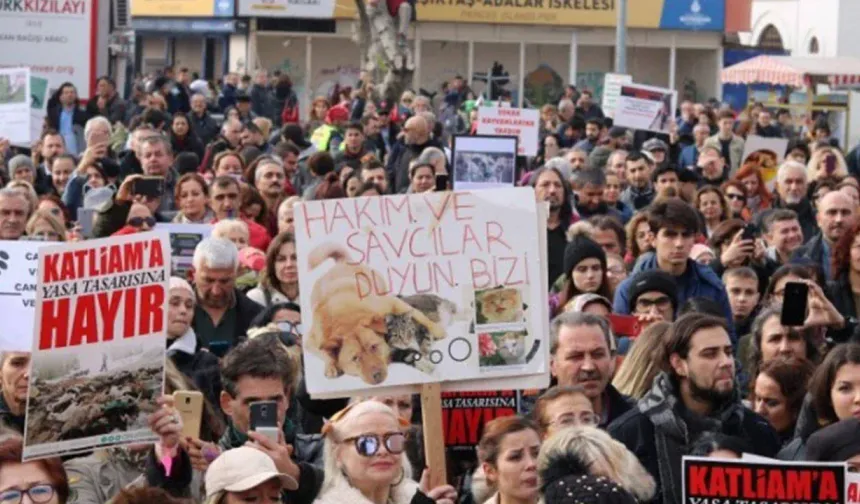 Yaşam Savunucuları Kadıköy’de Buluşuyor: Hayvanları Koruma Kanunu Değişikliğinin 2. Yılında Eylem