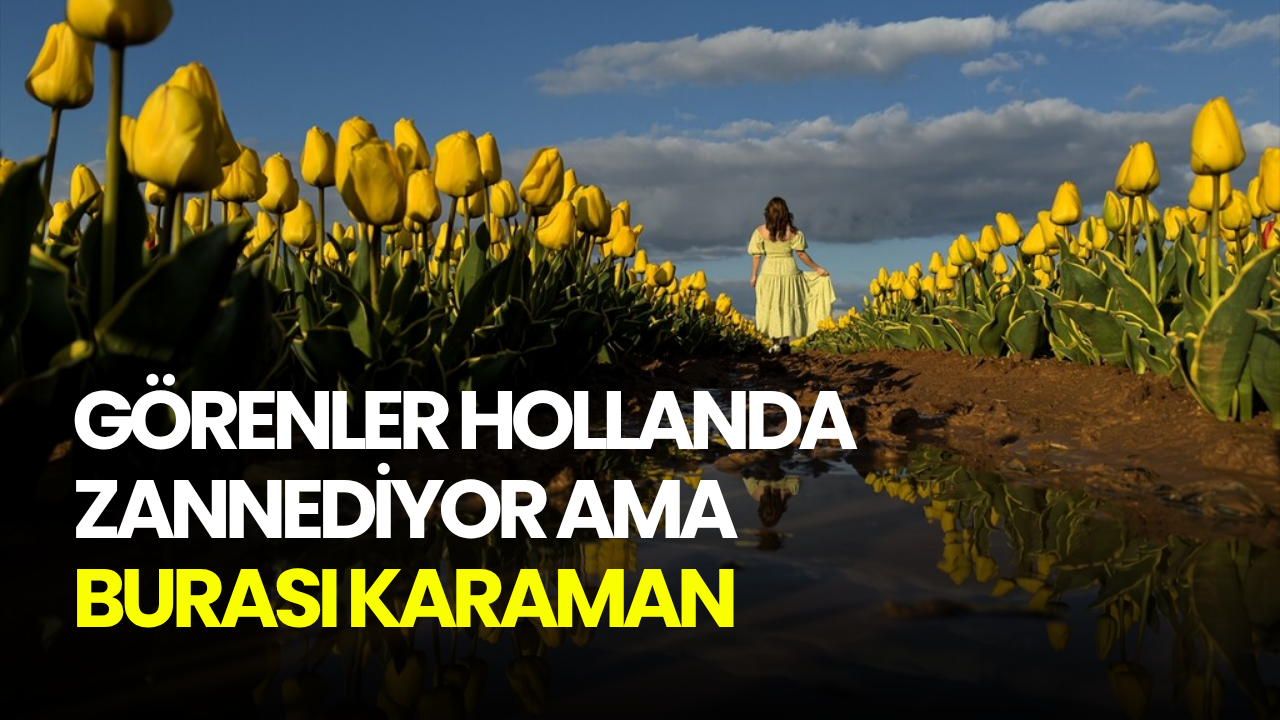 Görenler Hollanda zannediyor ama burası Karaman