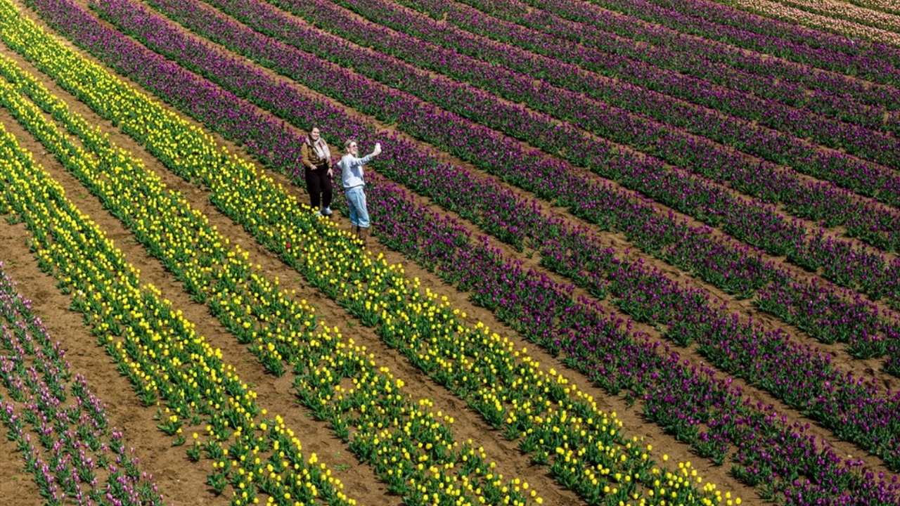 Görenler Hollanda Zannediyor Ama Burası Karaman