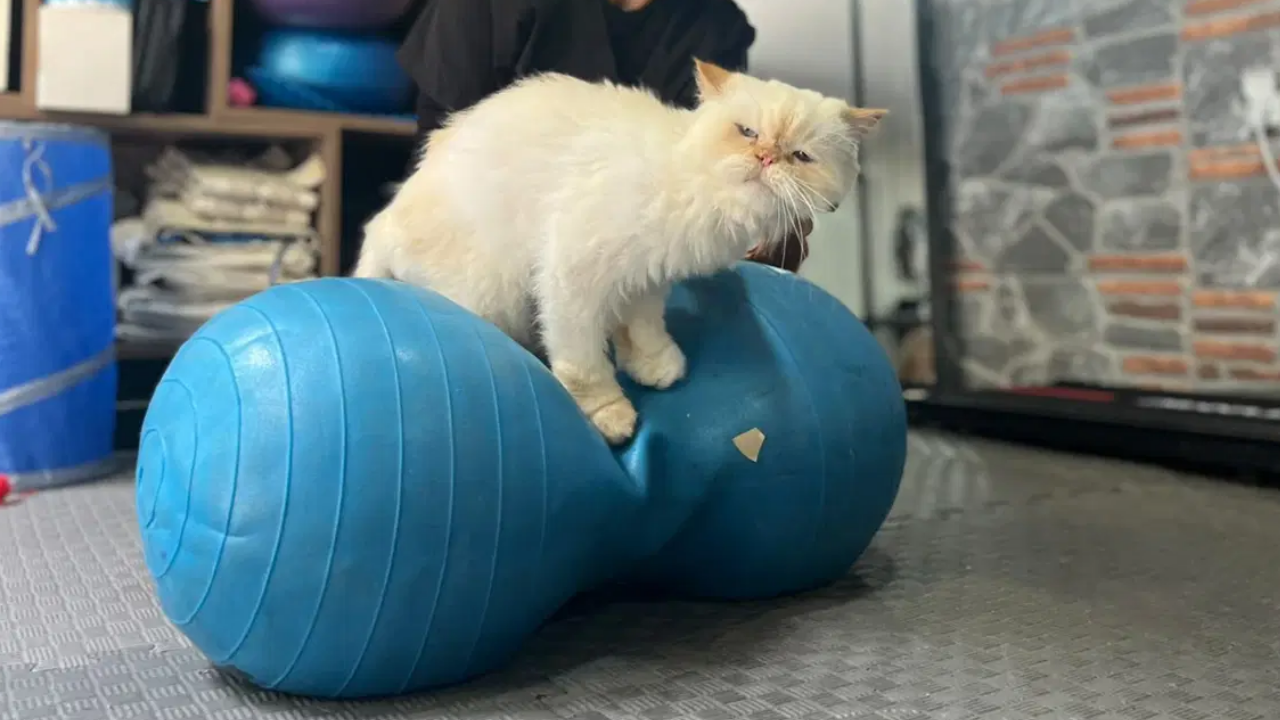 18 Yaşındaki “Köpük” Görenleri Şaşırtıyor Pilates Ve Yüzmeyle Hayata Tutundu (1)