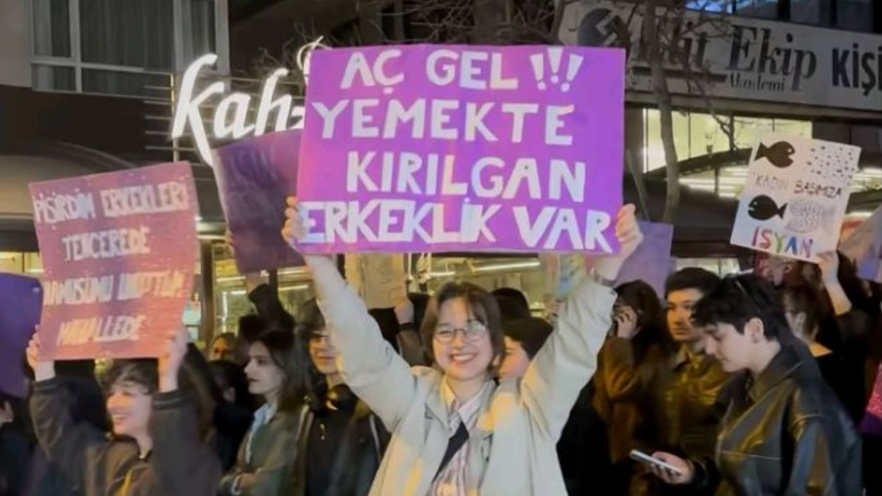 Feminist Ne Demek (1)
