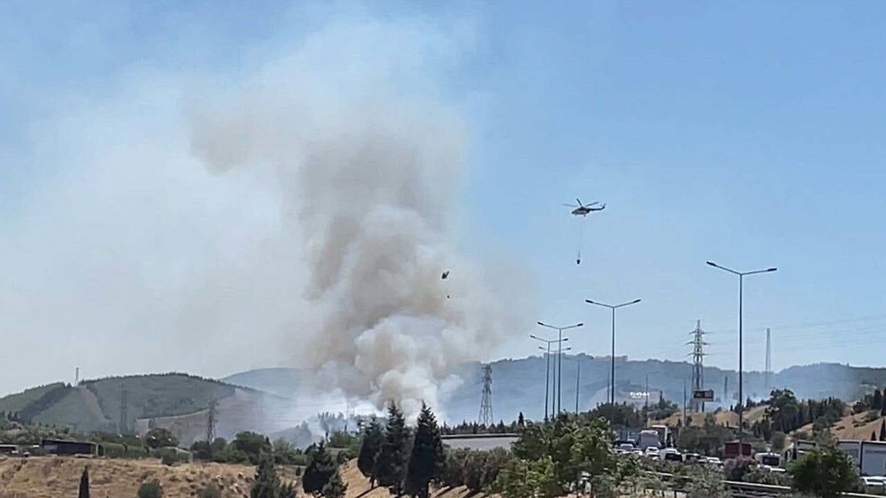 Buca’da otluk alandaki yangın ormana sıçradı, fabrikaya ulaştı