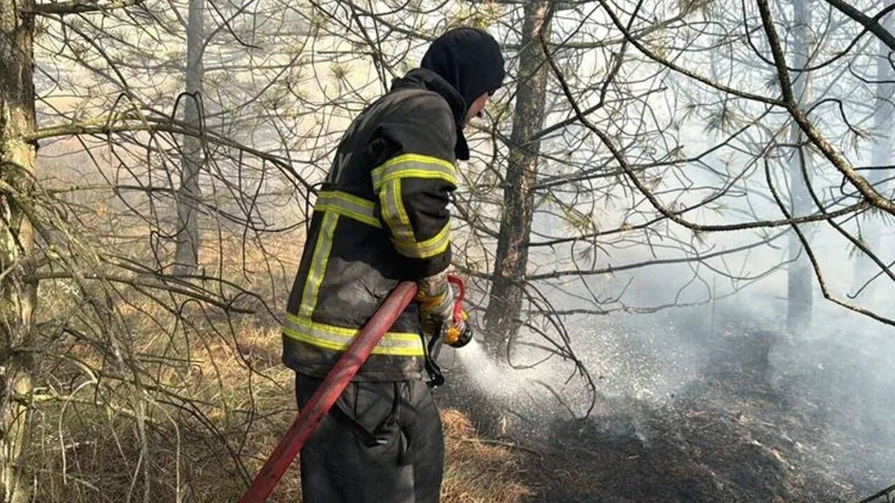 Çorum Dodurga’da meyve bahçelerine sıçrayan yangın söndürüldü